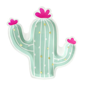 Tanjiri kaktus 24cm